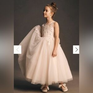 Princess Daliana Sparkle Appliqué Flower Girl Dress in Pale Pink
